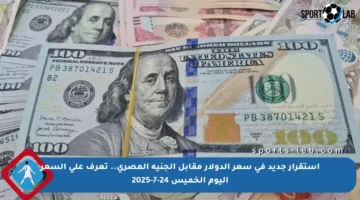 استقرار جديد في سعر الدولار مقابل الجنيه المصري.. تعرف على السعر اليوم الخميس 24-7-2025